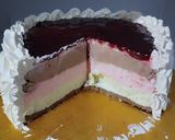 Foto del paso 6 de la receta: Torta Helada Con Pulpa De Frutos Rojos