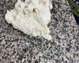 Foto del paso 5 de la receta: Pizza napolitana