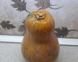 عکس مرحله 1 از دستور دسر ساده کدو حلوایی