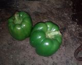 A picture of step 1 of Green bell pepper with sweet polau.