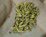 A picture of step 2 of Fennel seeds cardamom and jaggery tea☕💚.