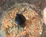 Foto del paso 1 de la receta: Granola de avena con miel