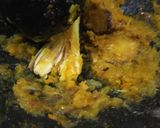 Foto langkah ke 2 dari resep Ayam kecap super enak.