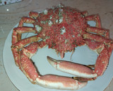 Foto del paso 3 de la receta: Cocer un centollo
