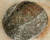 Foto langkah ke 14 dari resep Charcoal Wijen Sourdough Bread.
