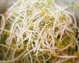 Hình bước làm 1 của món Bánh Ướt Nem Chả Lụa