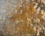 Foto del paso 3 de la receta: Moussaka de Berenjena