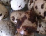 Sate Telur Puyuh langkah memasak 1 foto