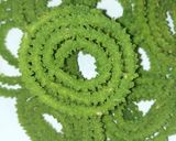 பாலக் முறுக்கு (palak murukku recipe in tamil) ரெசிபி ஸ்டேப் 5 புகைப்படம்
