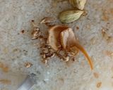 A picture of step 5 of Mutton qorma.