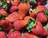 Foto del paso 1 de la receta: Mermelada de frutillas sin azúcar (para diabéticos)