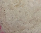 Foto del paso 5 de la receta: Ciabatta