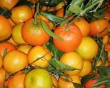 Une image de l'étape 5 de Jus detox clémentine🍊 miel🍯 gingembre.