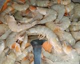 Foto langkah ke 1 dari resep Udang Saos Padang.
