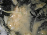 Buñuelos de repollo