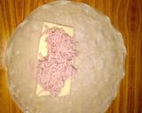 Foto del paso 3 de la receta: Rollitos jamón-queso en panquequera eléctrica