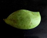 A picture of step 1 of Aam Panna (Aam Pora Shorbot).