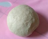 Foto langkah ke 1 dari resep Bakpao tips and trik.