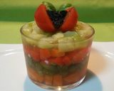 Foto del paso 8 de la receta: Consome de verduras gelatinado