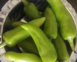 ભરેલા મરચા (Bharela Marcha Recipe In Gujarati) રેસીપી સ્ટેપ1ફોટો