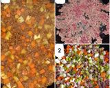Foto del paso 2 de la receta: Carne con vegetales