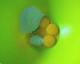 Foto del paso 1 de la receta: Natillas de huevos con harina de galletas de mantequilla
