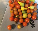 Une image de l'étape 3 de Soupe de légumes du jardin aux vermicelles.