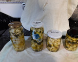 Foto del paso 4 de la receta: Calabacines en conserva con ajo y perejil