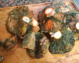 Foto del paso 4 de la receta: Coca con Rovellons, Alcachofas y Gambas