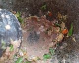 รูปขั้นตอนการทำที่ 3 ของ ผัดสะตอปักษ์ใต้