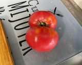Une image de l'étape 9 de Salade composée de melon, tomates, concombre, oignon doux, feta et menthe.