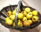 Foto del paso 1 de la receta Mermelada de manzana aromática