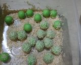 Foto langkah ke 4 dari resep Keciput Pandan.