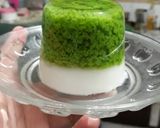 Foto langkah ke 3 dari resep Puding Lumut.