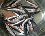 Foto del paso 1 de la receta: Boquerones en vinagre