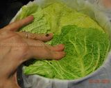 A picture of step 11 of Stuffed whole cabbage.