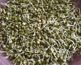 முளைகட்டிய பயறு சுண்டல் ரெசிபி ஸ்டேப் 1 புகைப்படம்