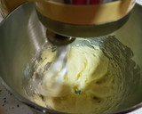 Foto del paso 2 de la receta: Galletas de Nueces Albanesas ó KURABIE!