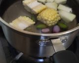 Foto langkah ke 2 dari resep Sayur Lodeh Fiber Creem*.