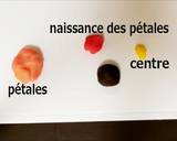 Nerikiri Wagashi: Cosmos" étape de la recette 3 photo