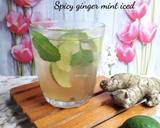 Cara Membuat Spicy ginger mint iced 3