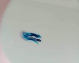 A picture of step 6 of Oreo Agar Agar.