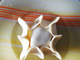 Pastelitos con tapa de empanadas