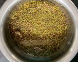 पौष्टिक हिरव्या मुगाचे डोसे (green moong dosa recipe in marathi) रेसिपी स्टेप 1 फोटो 