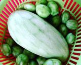 Hình bước làm 1 của món Xoài xanh, cóc thái ngâm mắm đường ^^
