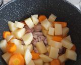 Foto langkah ke 3 dari resep Japanese Chicken Curry.
