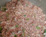 A picture of step 2 of Mutton Kofta.