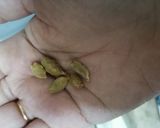 A picture of step 2 of Almond shake 🥛.