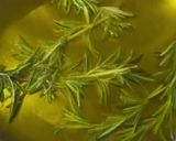 A picture of step 1 of Creamy Cauliflower Soup with Rosemary Olive Oil.