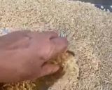 Foto del paso 4 de la receta: Harina de Arroz Integral : hazla en casa 🙌💪
